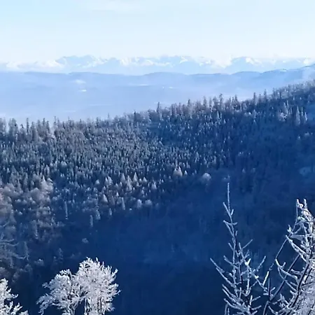 Pod Polanka 3* Korbielów