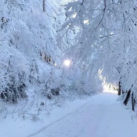 Pod Polanką Pensjonat Korbielów