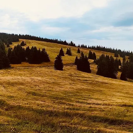 Pod Polanka