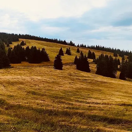 Pod Polanka