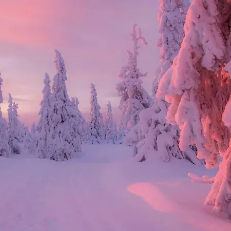 Pod Polanka Konukevi Korbielów