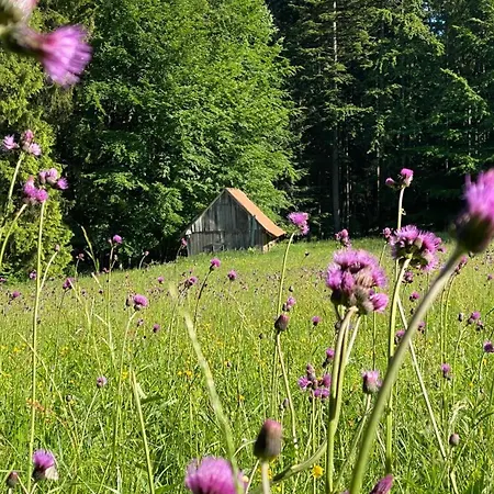 Pod Polanka Konukevi 3*