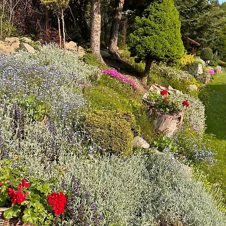 Vendégház Pod Polanka 3*