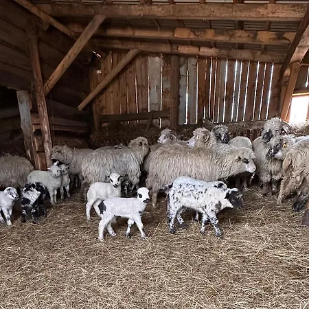 Konukevi Pod Polanka