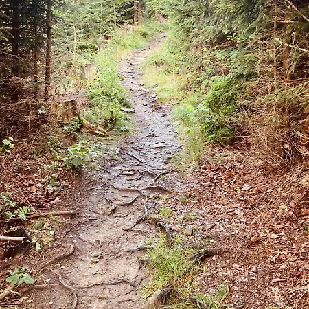 Pod Polanka Konukevi