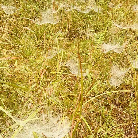 Pod Polanka Konukevi 3*