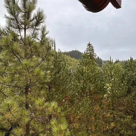 Pod Polanką Pensjonat 3*