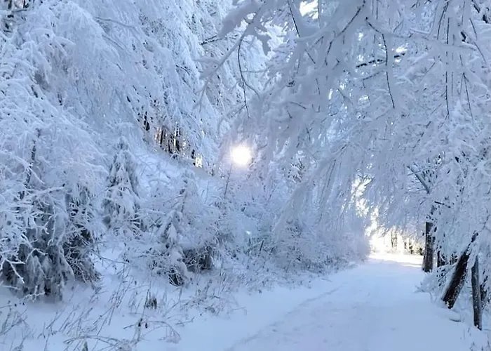 Pod Polanka Casa de hóspedes Korbielów