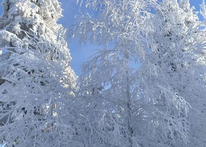Pod Polanka Korbielów