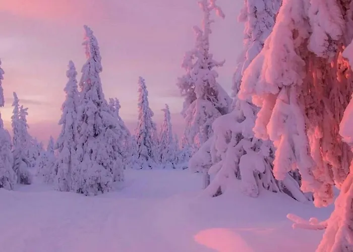 Pod Polanka بيت ضيافة كوربييلوف