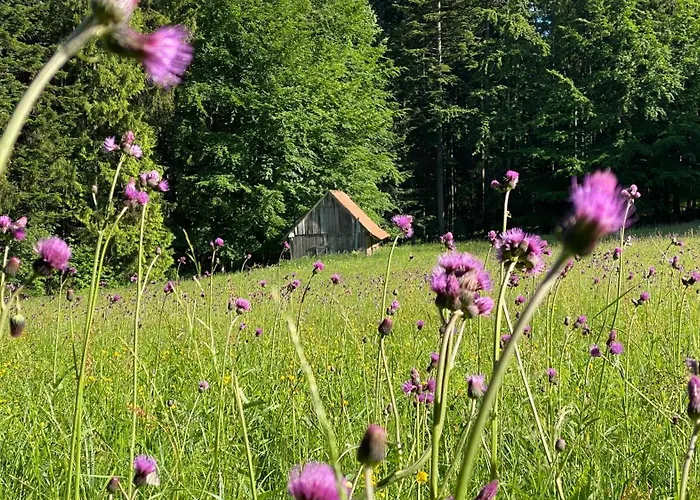 Pod Polanka بيت ضيافة 3*