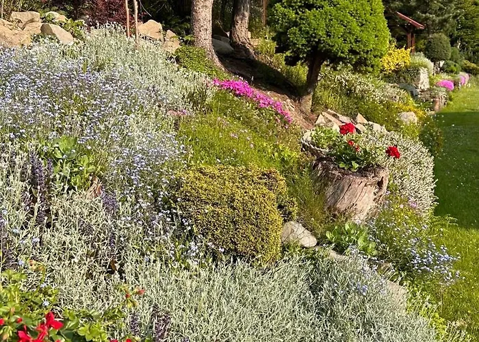 بيت ضيافة Pod Polanka 3*