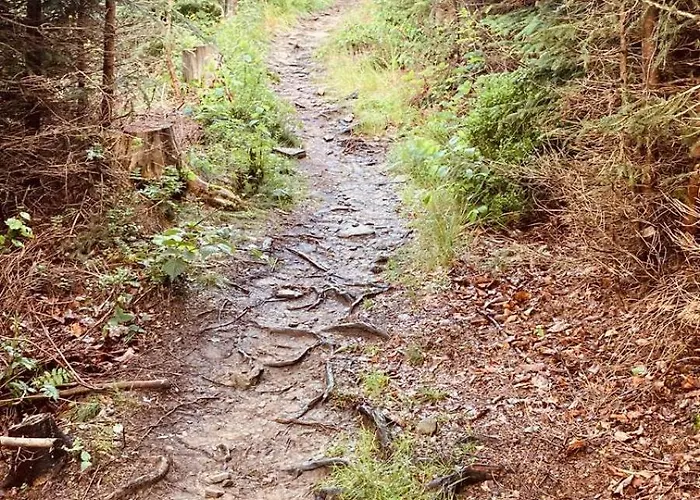 Pod Polanka بيت ضيافة