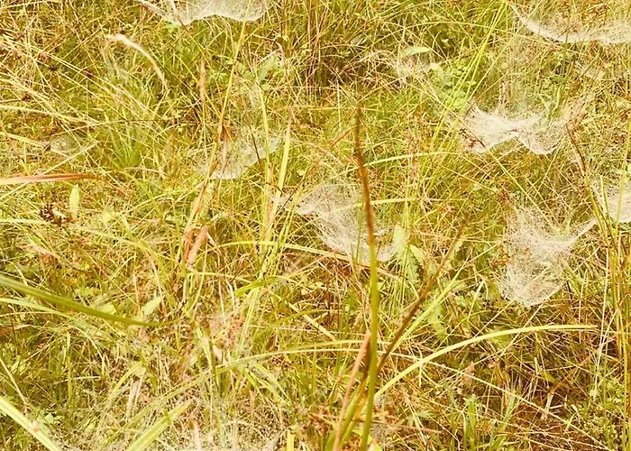 Pod Polanka Casa de hóspedes 3*